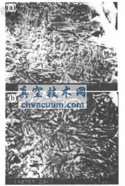 噴丸對(duì)滲層組織的影響